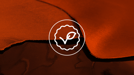 Vegane professionelle Kollektion Vegane professionelle Kollektion