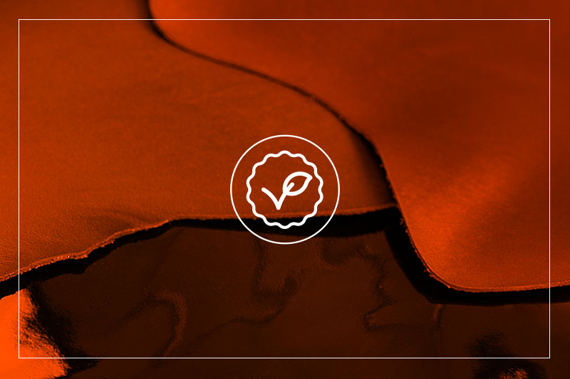 Utilisez pour vegan pro®